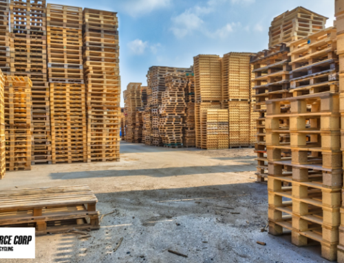 Things All Pallet User’s Should Be Know