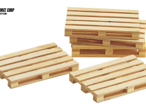 Why Are Wood Pallets Good For The Environment?