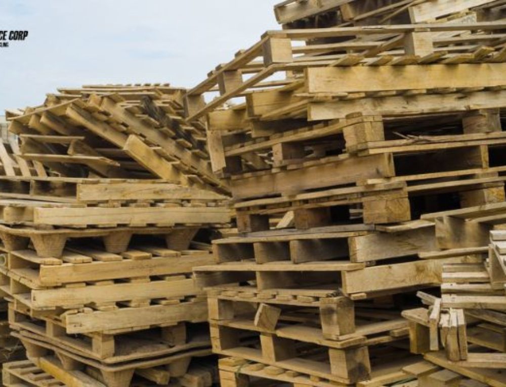 Hardwood Versus Softwood Pallets Wooden Pallet Recycling Minneapolis